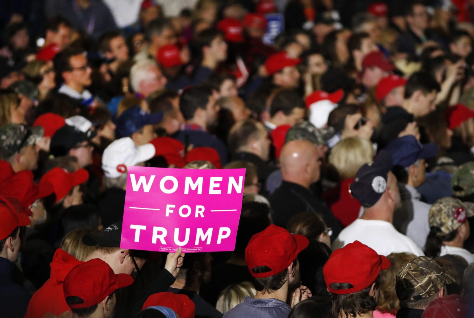 Trump rally in Michigan