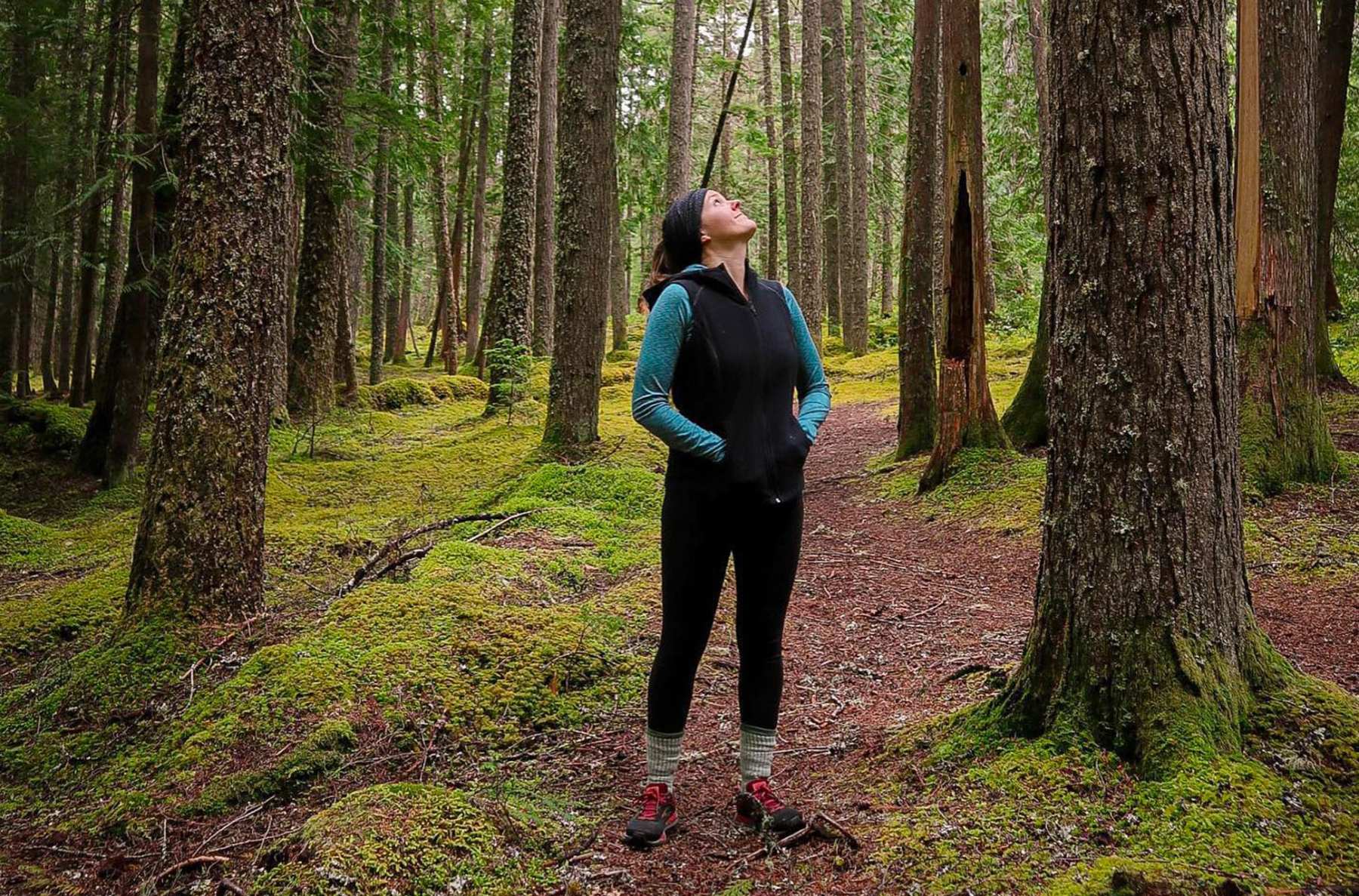 A young woman stands in a forest looking up at the trees.