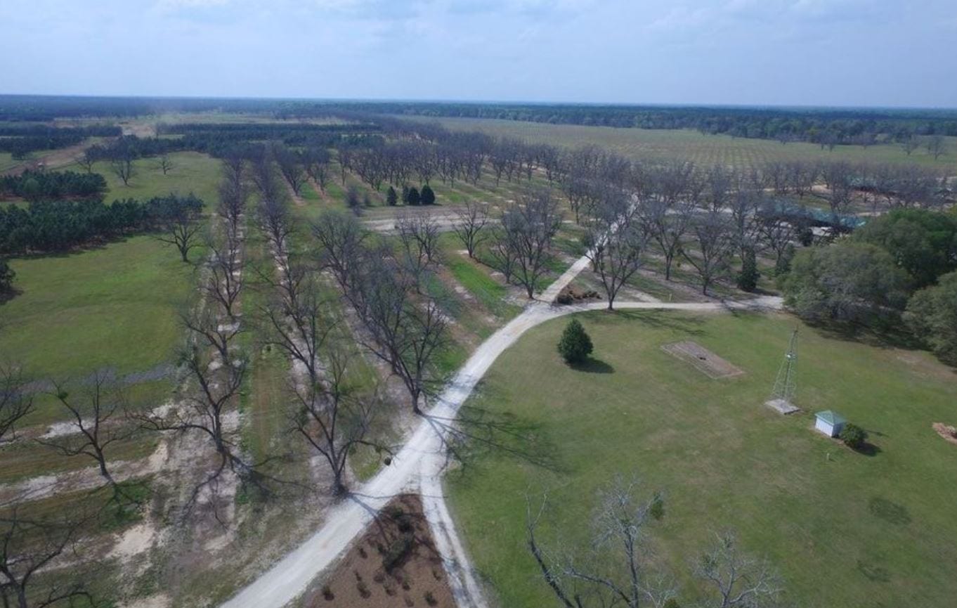 An aerial view of farmland.