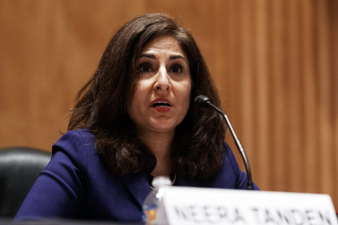 Neera Tanden speaks at Senate hearing.