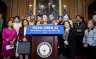 Speaker of the House Nancy Pelosi, D-Calif., speaks during the Democratic Womens Caucus press conference.