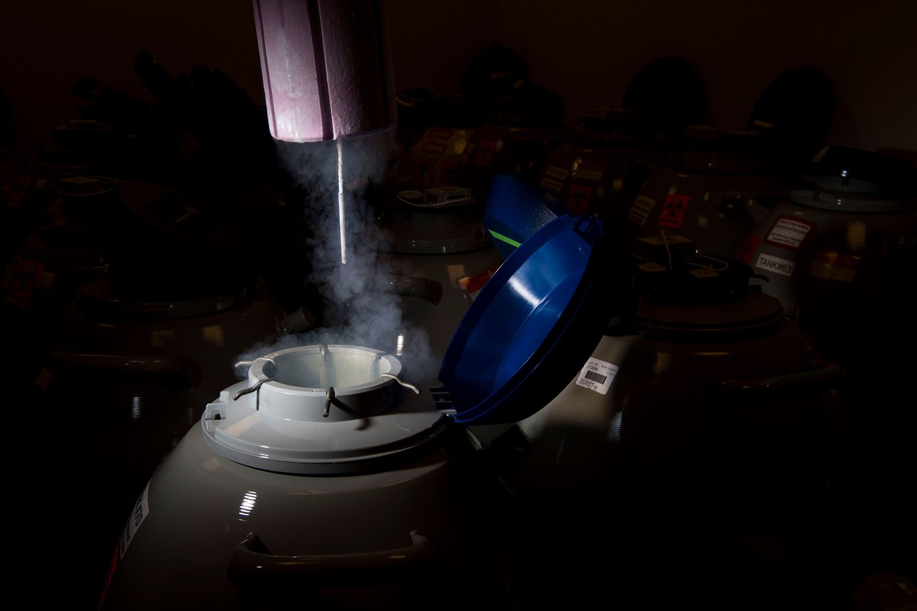 An embryologist lifts a lid on a nitrogen tank containing thousands of frozen embryos.