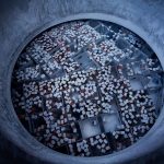 Vials of donor sperm frozen by liquid nitrogen in a holding tank.