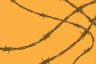 illustration of barbed wires crossing on an orange background