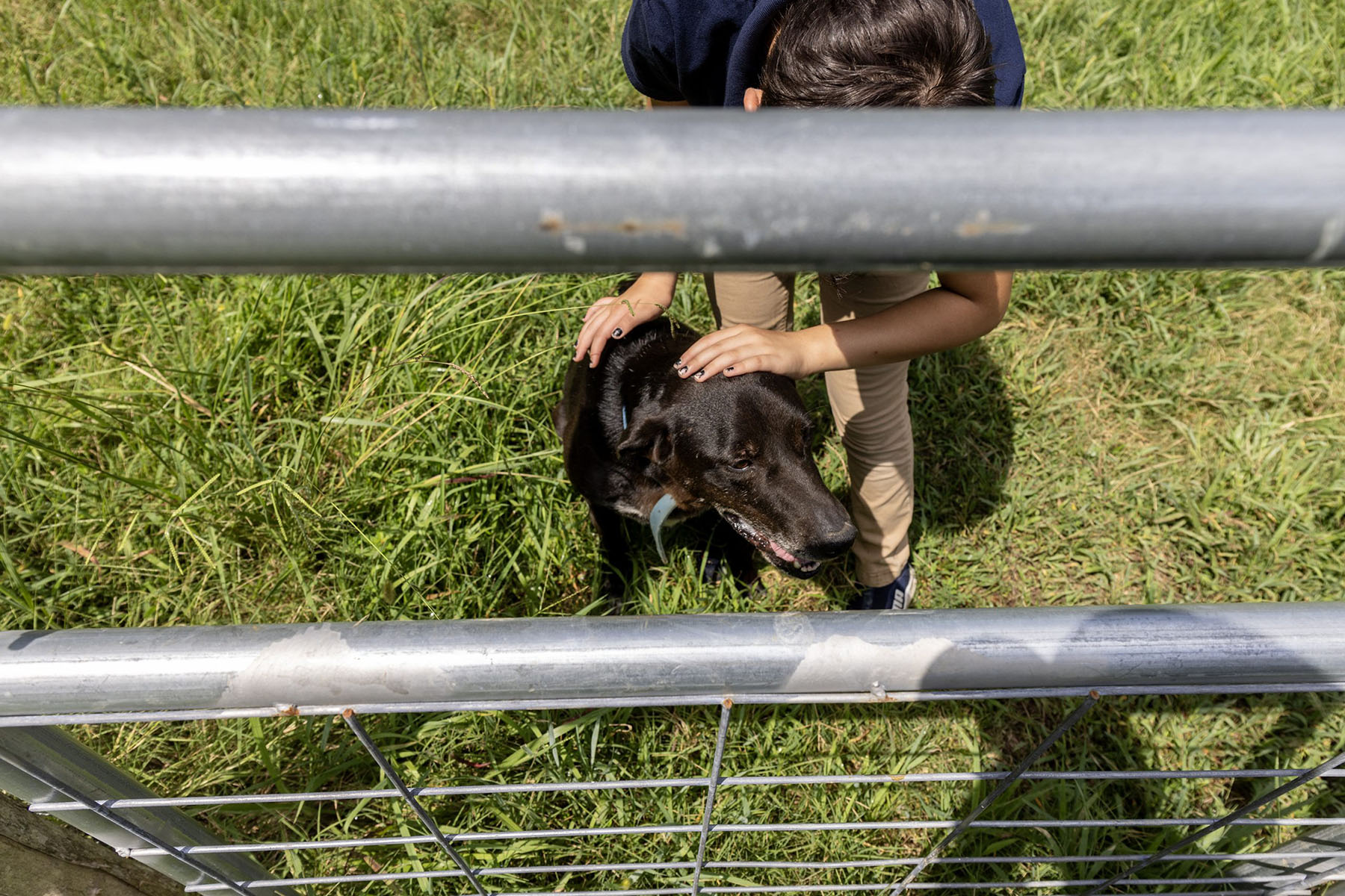 Jack Bauman pets the family dog.