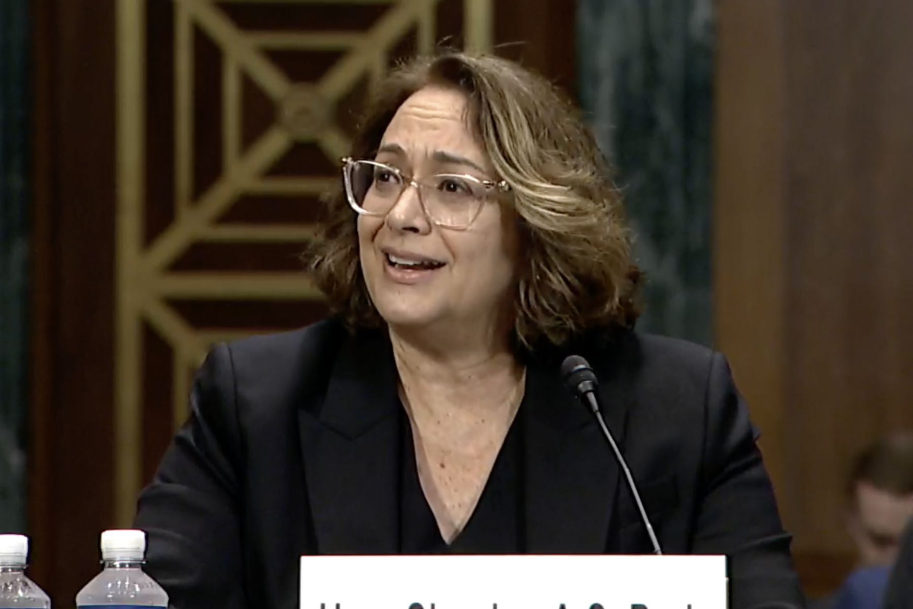 Judge Shanlyn Park at a Senate committee hearing