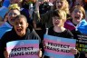 Protesters of Kentucky Senate Bill SB150 cheer and hold signs that read 