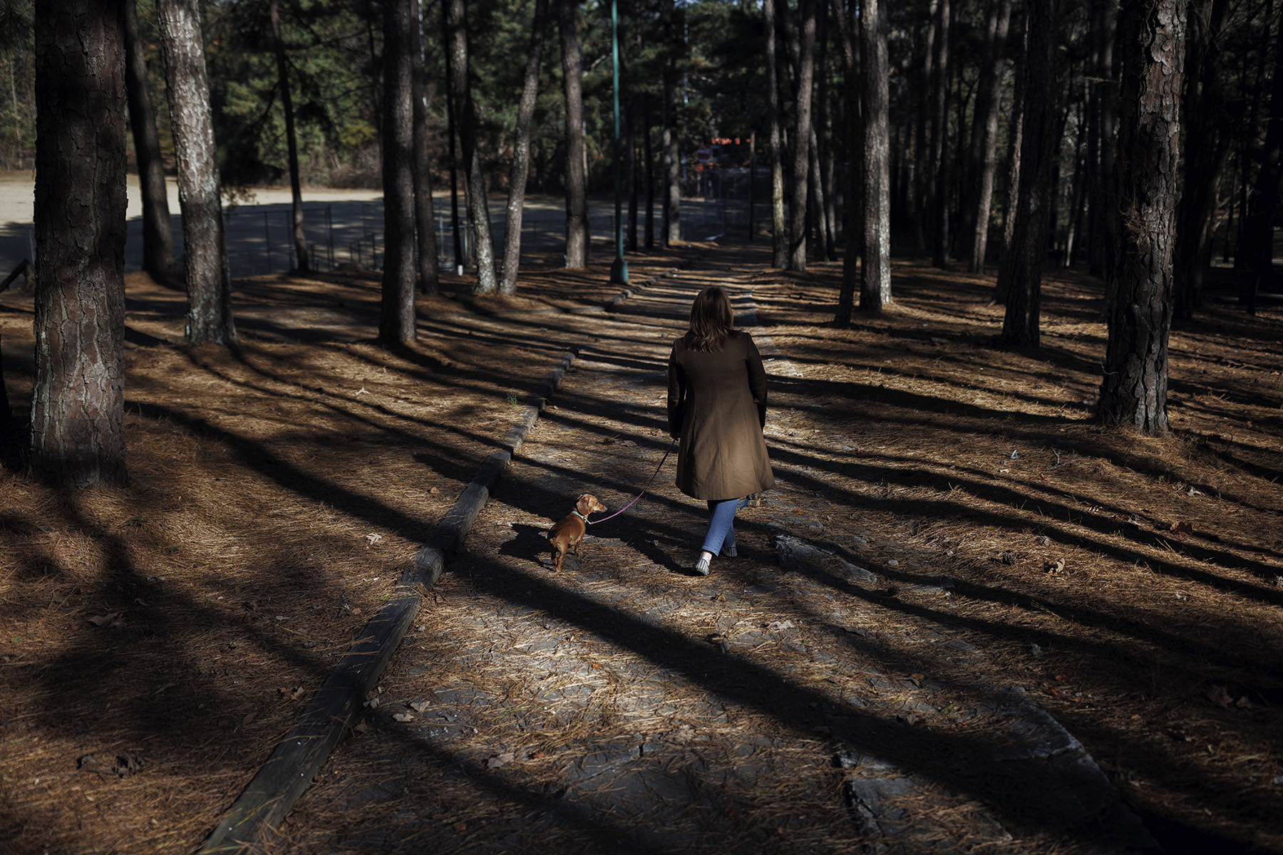 Ann Carver walks one of her dogs near her home.