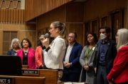 Arizona state Sen. Eva Burch stands up and speaks into a microphone on the floor, surrounded by other Democratic senators