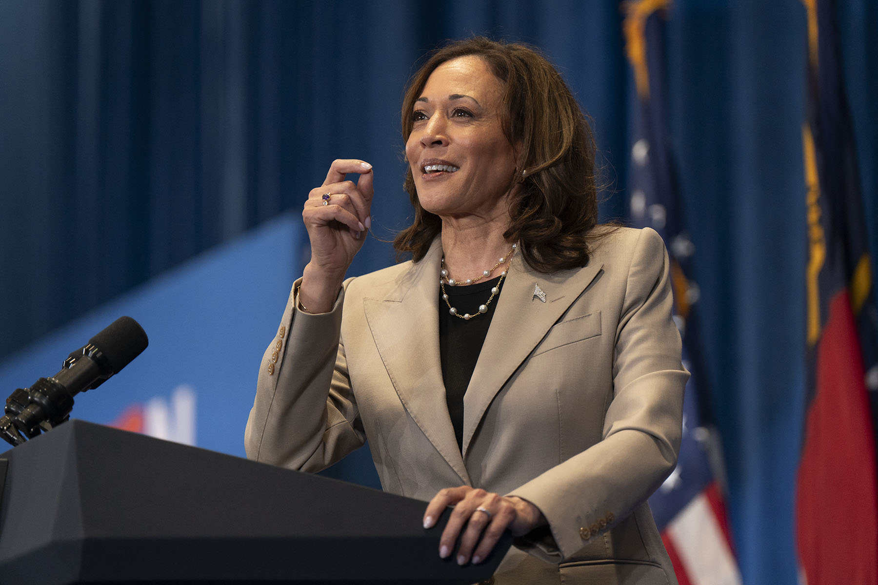 Vice President Kamala Harris speaks during a campaign event in Fayetteville, North Carolina,